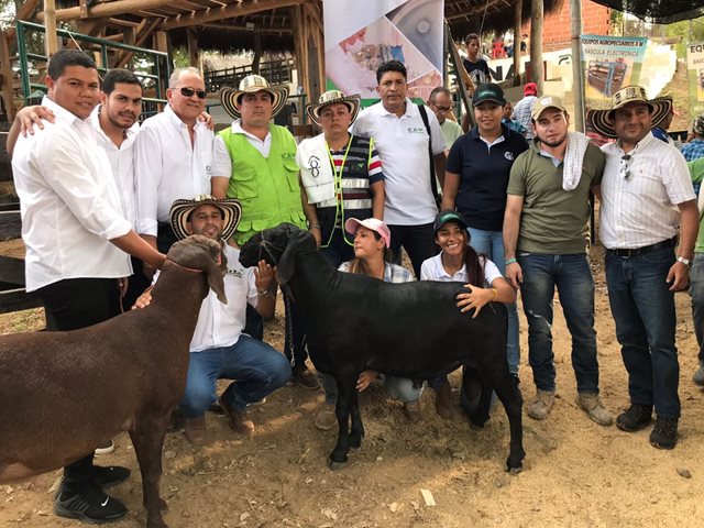 El ICA participa en la primera feria ovino caprina del Magdalena