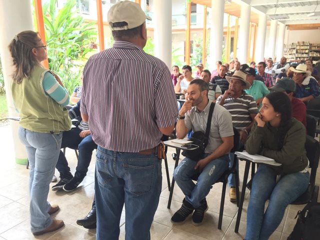 Agroempresarios de aguacate Hass de Caldas trabajan para tecnificar sus cultivos 
