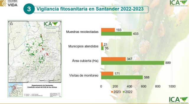 IMAGEN-1-ICA-2.jpg
