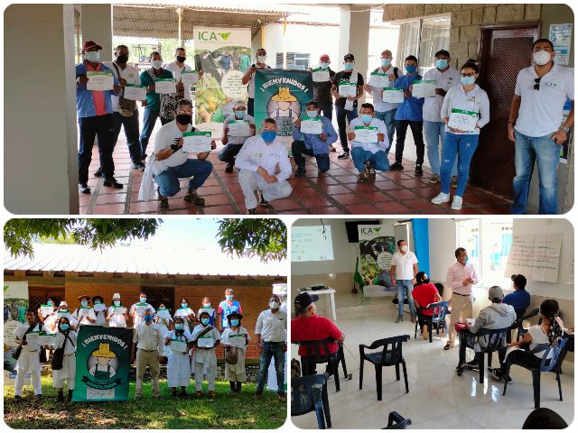 Productores del Magdalena se capacitan en el uso de plaguicidas