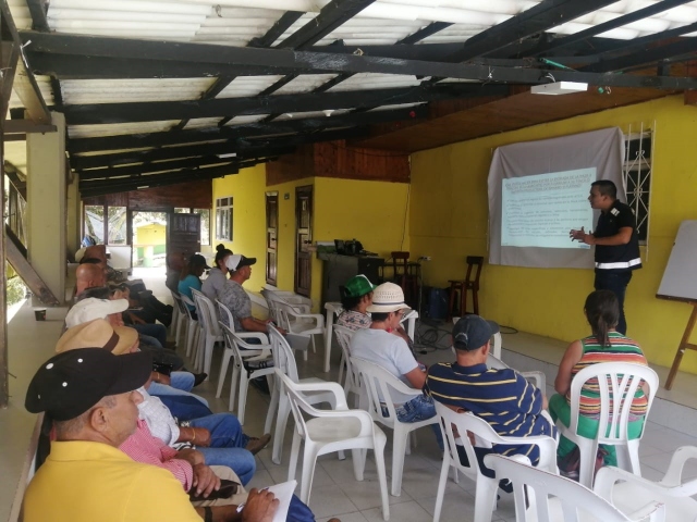 En Risaralda, productores de plátano y banano se capacitan para fortalecer su producción