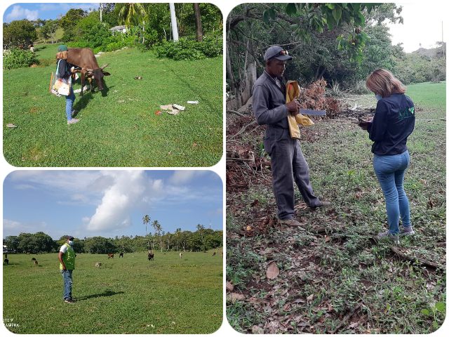 	En San Andrés el ICA realiza visita a predios pecuarios