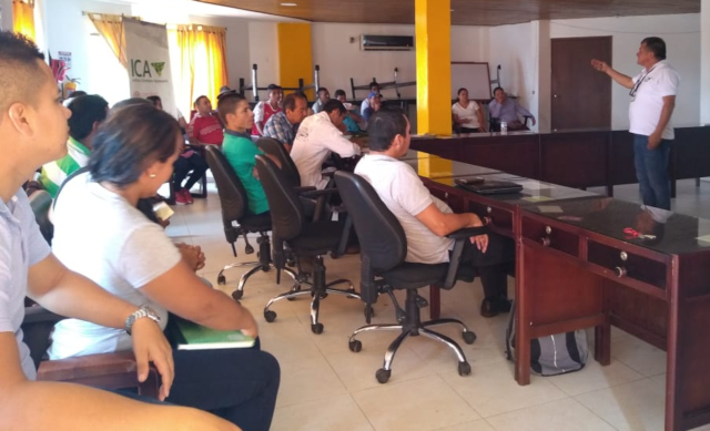 Productores de Caquetá trabajan por la calidad de sus cultivos de cítricos 