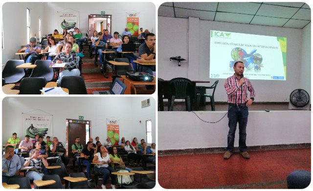 Con el acompañamiento del ICA, los productos agropecuarios colombianos  continúan abriéndose camino en los mercados internacionales