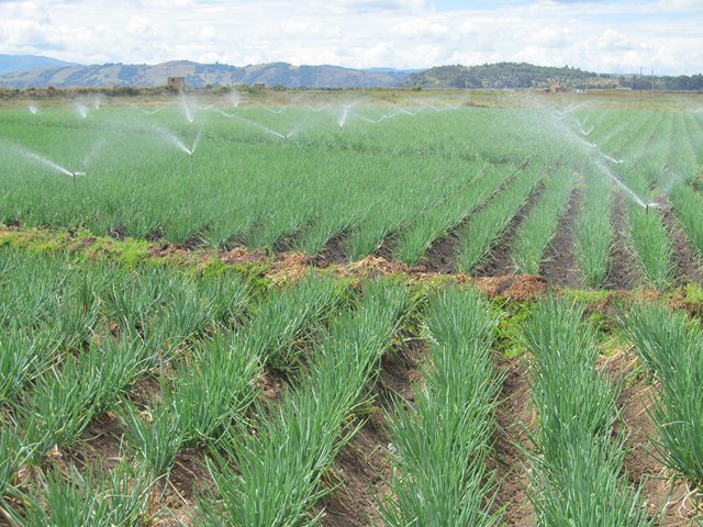El ICA apoya a agroexportadores y empresarios productores de “Bioinsumos Agrícolas” en Risaralda