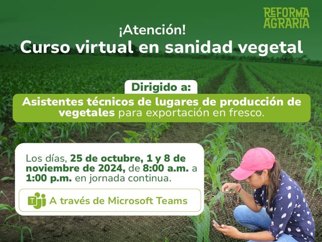 Lugares de producción ICA.