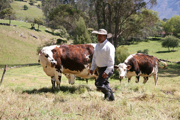 316.000 familias beneficiadas con Agro Ingreso Seguro