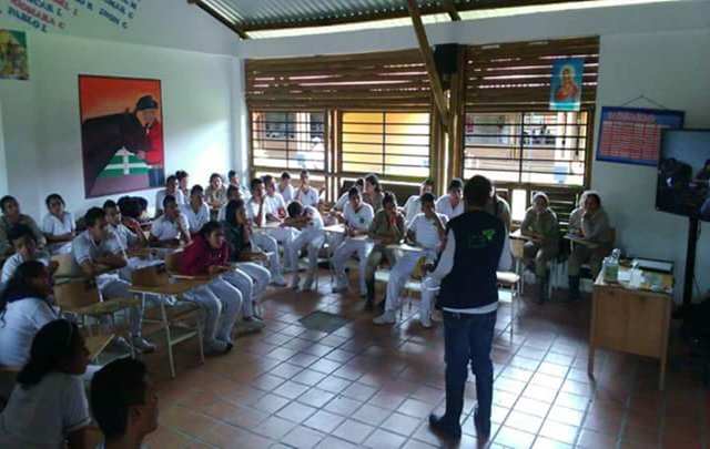 El ICA capacitó a estudiantes de los grados 10 y 11 en San Martín, Meta 