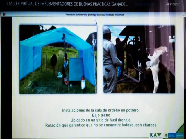 Taller virtual para implementadores de BPG en la Producción de Leche