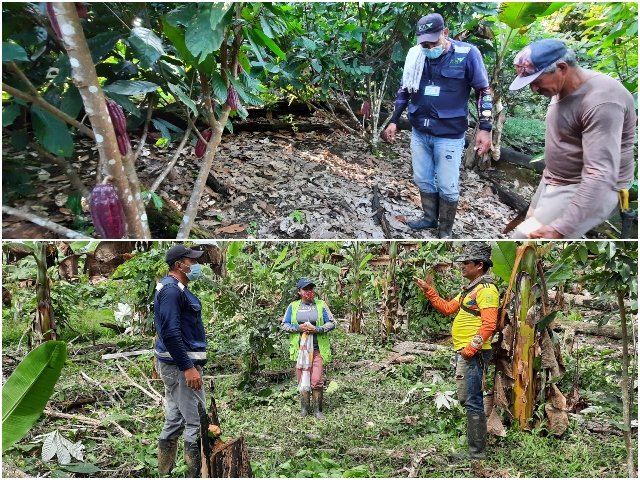 El ICA y agricultores del Guaviare articulados para la producción de alimentos sanos y seguros