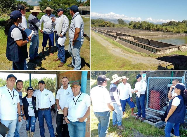 foto-collage-risaralda-predios-certificado-ica.jpg