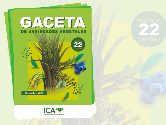 Portada Gaceta. 