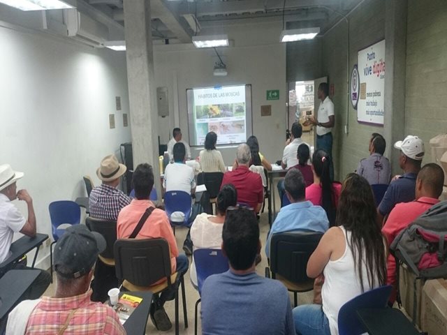 En Antioquia, el ICA socializa medidas para el manejo de las moscas de la fruta 