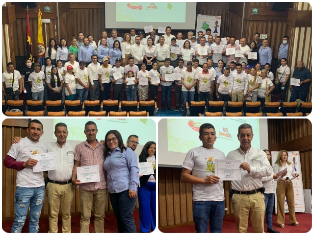 38 predios de Norte de Santander se certificaron en buenas prácticas agrícolas 