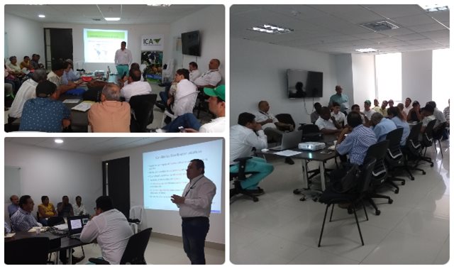 Con el apoyo del ICA, el departamento de Bolívar busca aumentar la competitividad en la producción agrícola