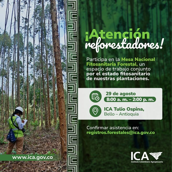 FORESTAL.jpeg