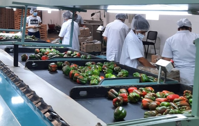 Foto-ICA-Funcionarios-en-proceso-de-inspeccion-y-certificacion-2.jpg