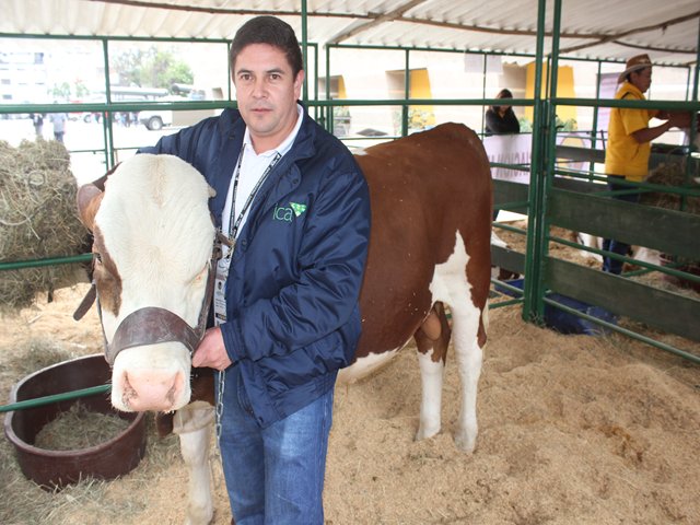 Colombia podrá exportar material genético bovino a Costa Rica