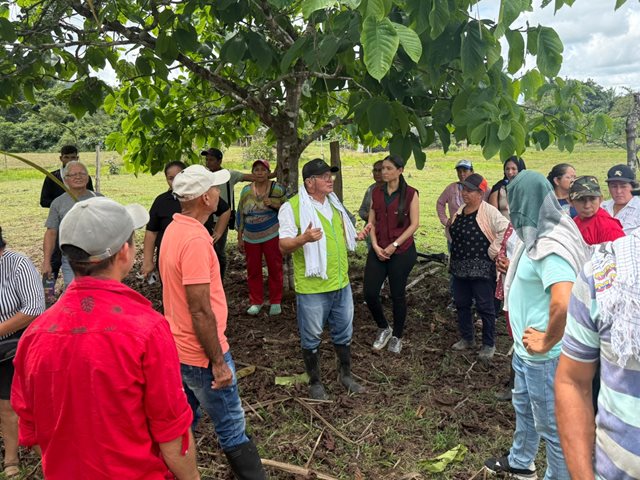 El ICA fortalece la dignidad y soberanía agroecológica de productores paneleros en Belén de los Andaquíes