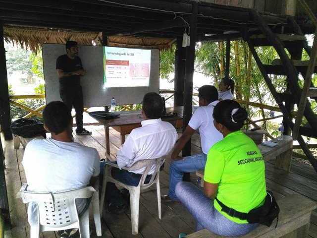 En el Amazonas, el ICA capacitó ganaderos en manejo de enfermedades de control oficial 