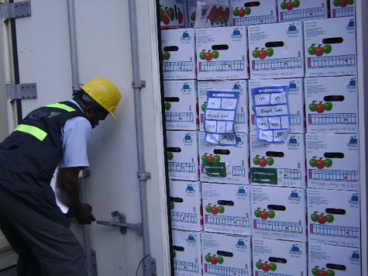 ICA devuelve a Chile cuatro cargamentos con 108 toneladas de manzanas y peras
