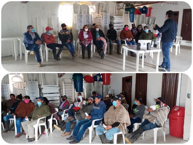 Productores de papa de Caldas protegen sus cultivos de enfermedades de control oficial