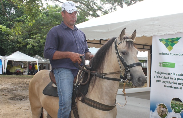 El ICA y caballistas trabajan por la sanidad animal de Puerto Carreño 