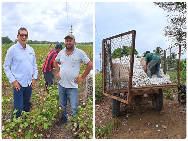 Algodoneros de Córdoba resaltaron la importancia de cumplir con la normatividad del ICA para fortalecer sus cultivos 