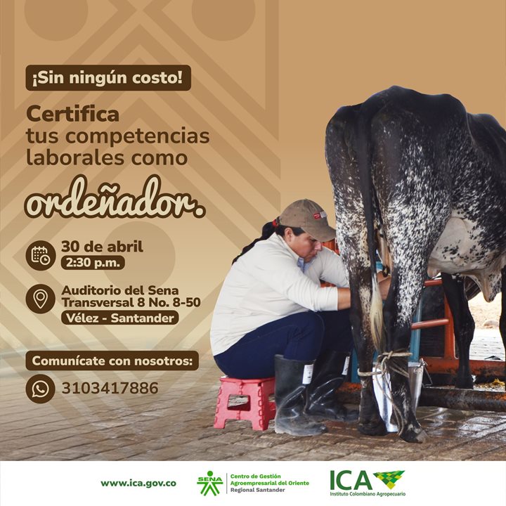 ORDENADORES-VELEZ.jpeg