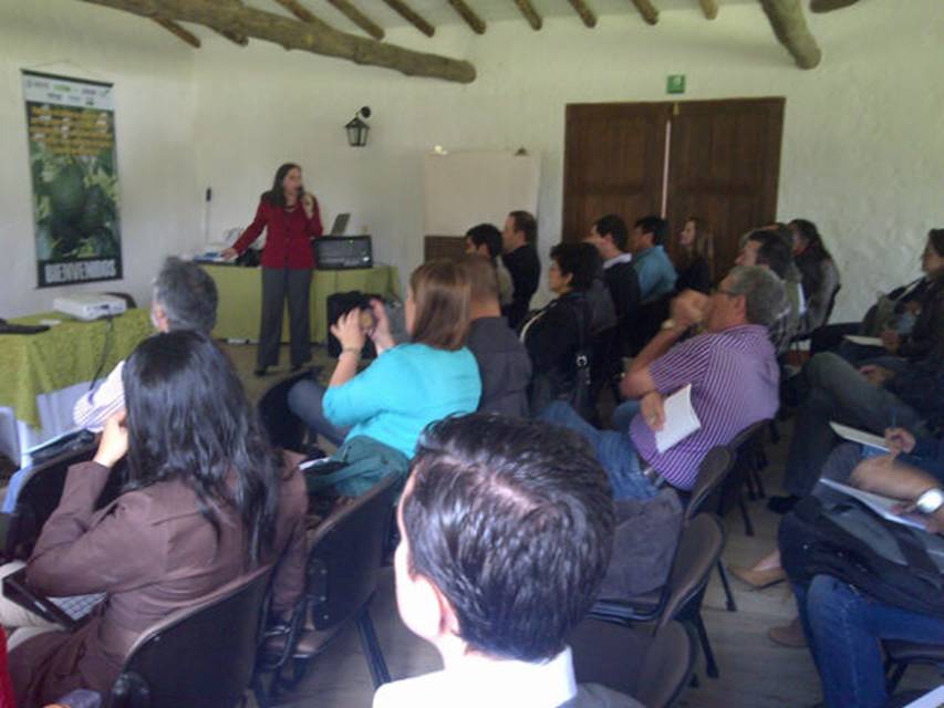El ICA analiza plan de trabajo para la exportación de Aguacate Hass a Estados Unidos