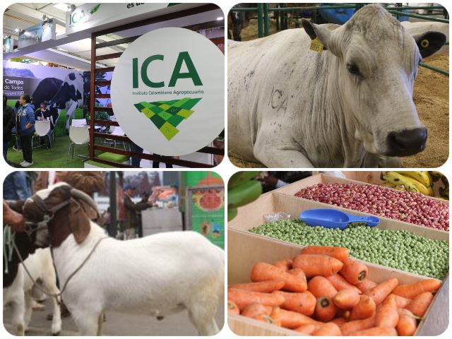 AgroExpo 2021