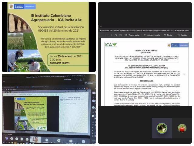 Foto-ICA-Conferencia-ICA-maiz.jpg