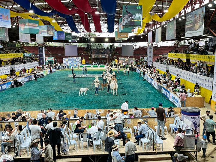 ICA-RISARL-15112025.jpeg ICA-RISARL-15112025.jpeg