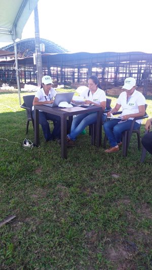 foto-2-ICA-confirmacion-guias-sanitarias-movilizacion-interna.JPG