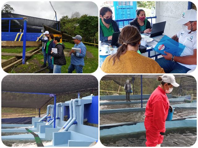 Con seguimiento y certificación de predios contribuimos a la competitividad en la producción de peces en Cundinamarca 
