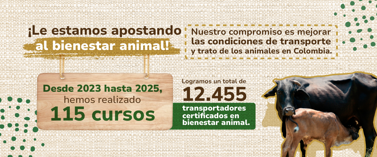 A que le apostamos