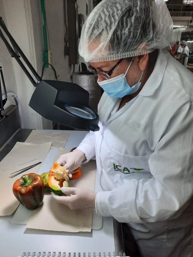 Foto-ICA-Funcionarios-en-proceso-de-inspeccion-y-certificacion-1-2.jpg