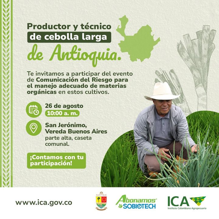 CEBOLLA-ANTIOQUIA.jpeg