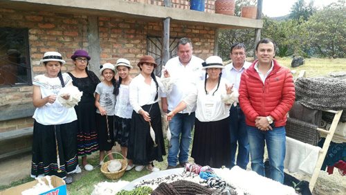 Ovinos-Peru-2.jpg