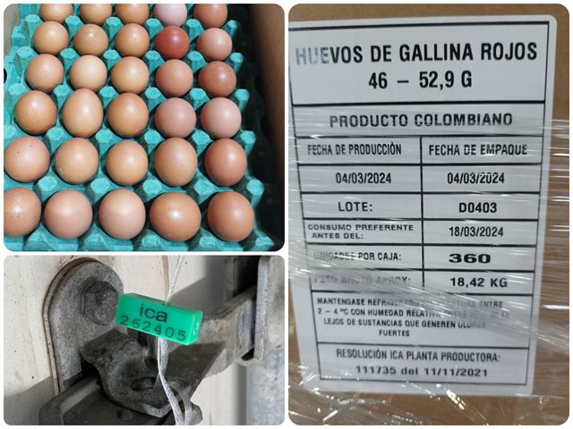 Exportación huevos