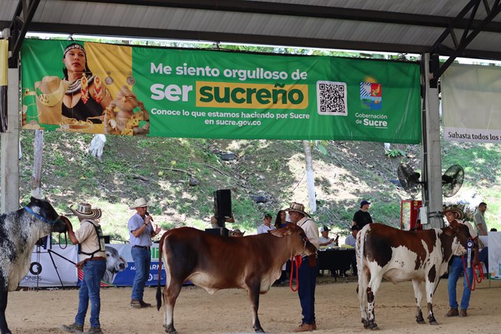 ICA-SUCRE-1552026