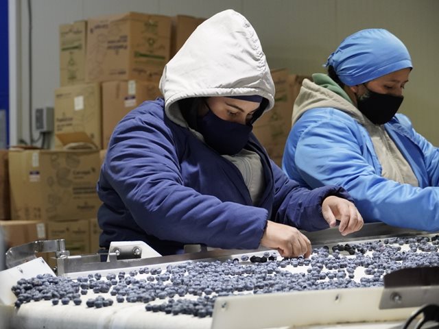 El ICA pondrá en marcha el nuevo modelo de inspección de productos agrícolas de exportación desde las plantas de producción en cinco departamentos