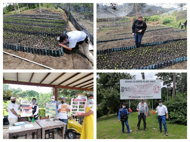 Visita del ICA a viveros. 