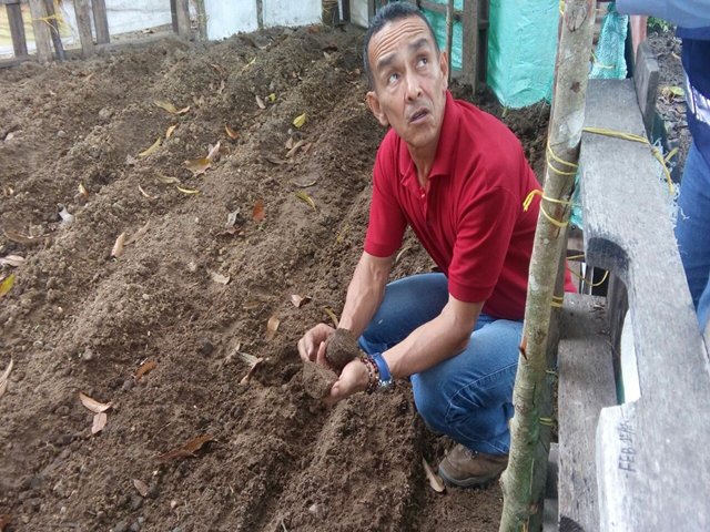 En La Guajira, el ICA verifica requisitos de cultivo de ñame para exportación