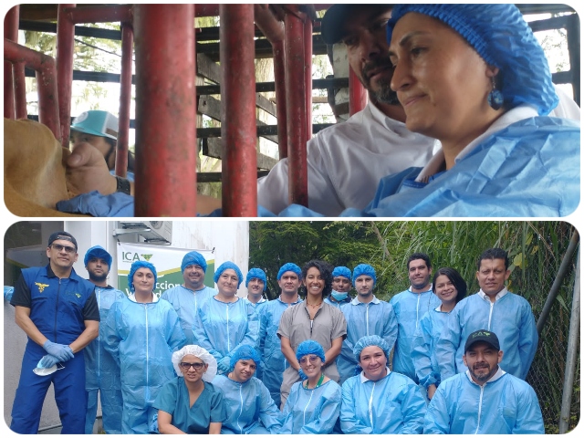 Foto-ICA-taller-teorico-practico-sobre-las-enfermedades-de-control-oficial-y-toma-de-muestras-1.jpg