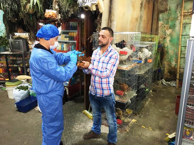 El ICA trabaja para mantener la sanidad avícola en el departamento de Caldas