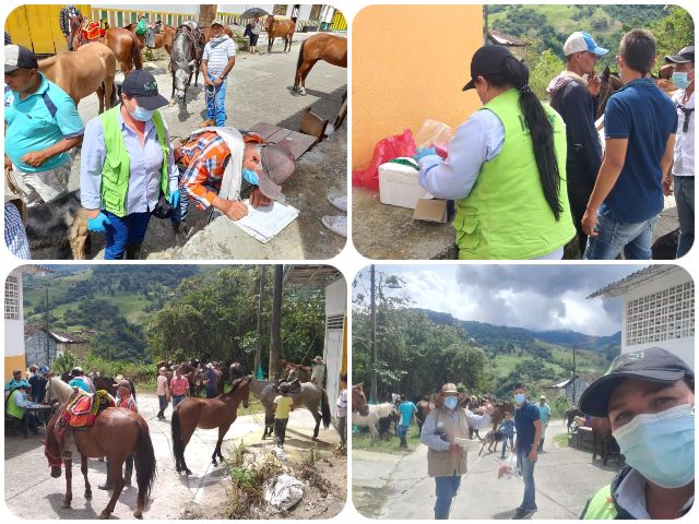 ICA trabaja por la prevención y control de la Encefalitis Equina Venezolana en El Cairo 