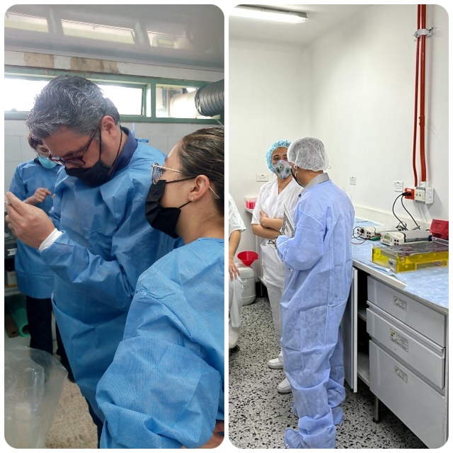 Foto-ICA-Practica-de-necropsia-y-toma-de-muestras-en-camarones.jpg