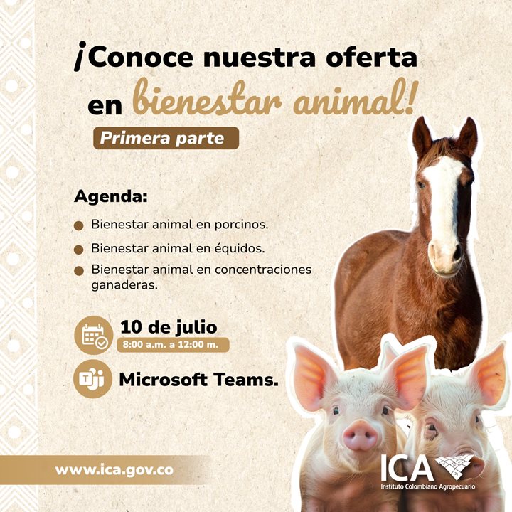 BIENESTAR-ANIMAL.jpeg