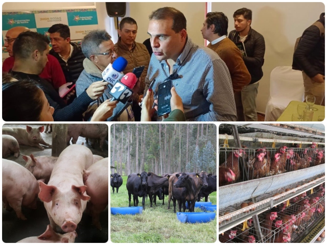 El ICA permitirá la importación de alimentos para animales desde Ecuador